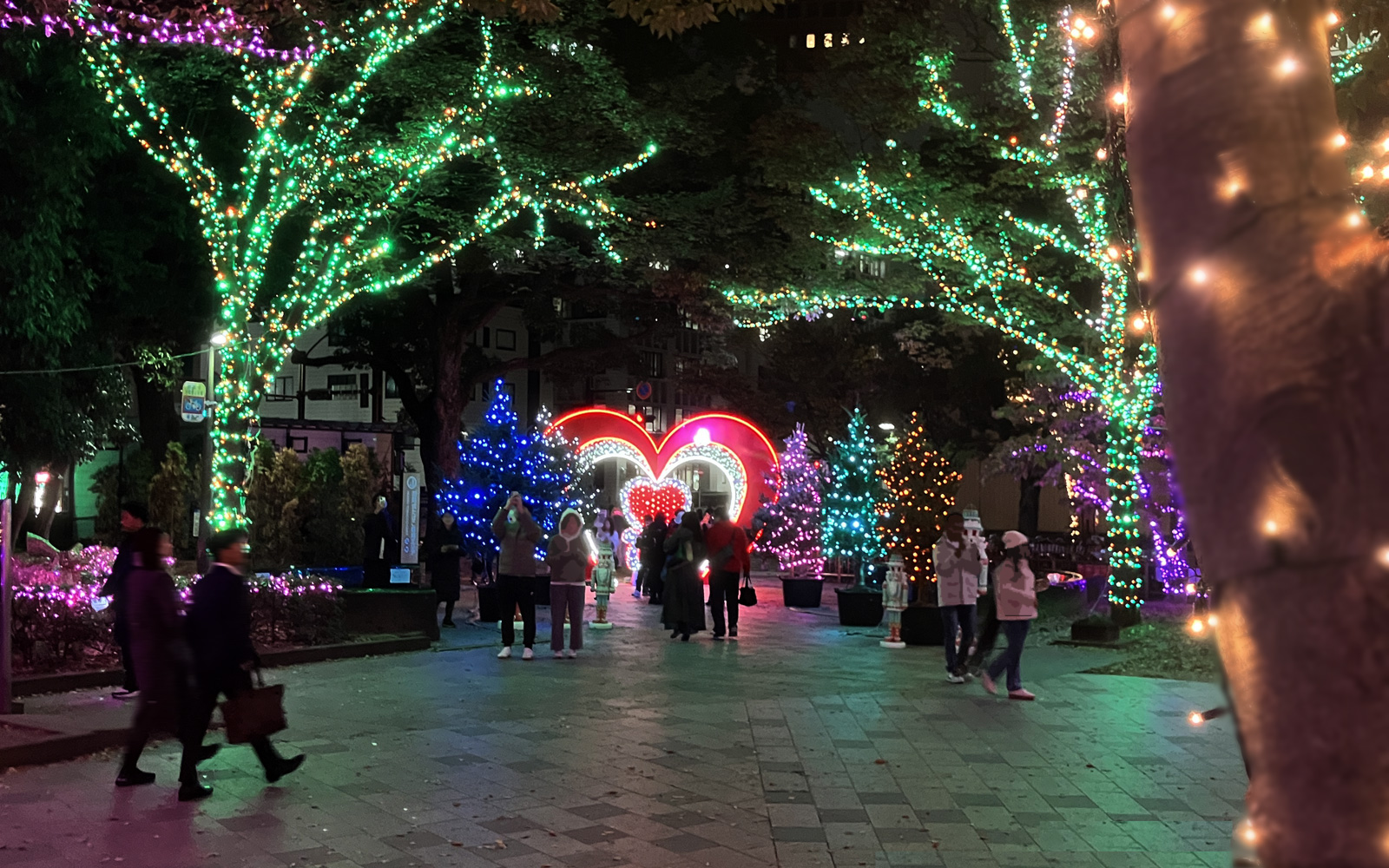 クリスマスアドベント『光のフォレスト』へ行ってみた（天神中央公園 