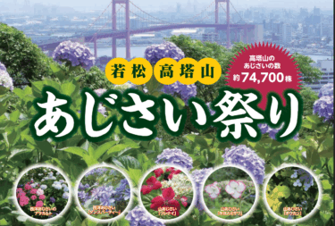 北九州市で『若松あじさい祭り』が開催されます