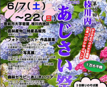豊前市で『第16回枝川内あじさい祭り』が開催されます