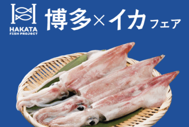 旬を味わう魚食普及フェア『博多×イカフェア』が開催中です